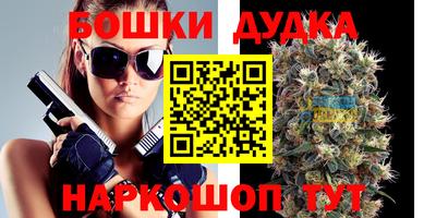 крисы Можга
