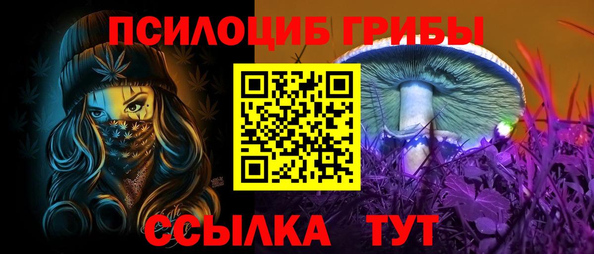 Черногорск  Псилоцибиновые грибы GOLDEN TEACHER  Вход с VPN  Галлюциногенные грибы MAGIC MUSHROOMS 